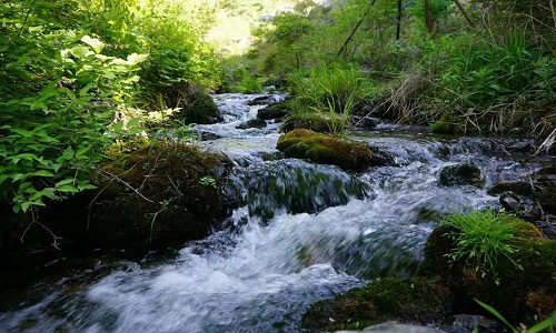 Xiangshui-Spring